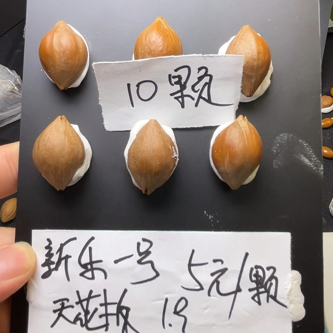 鹏***橄榄核手串/手链橄榄核