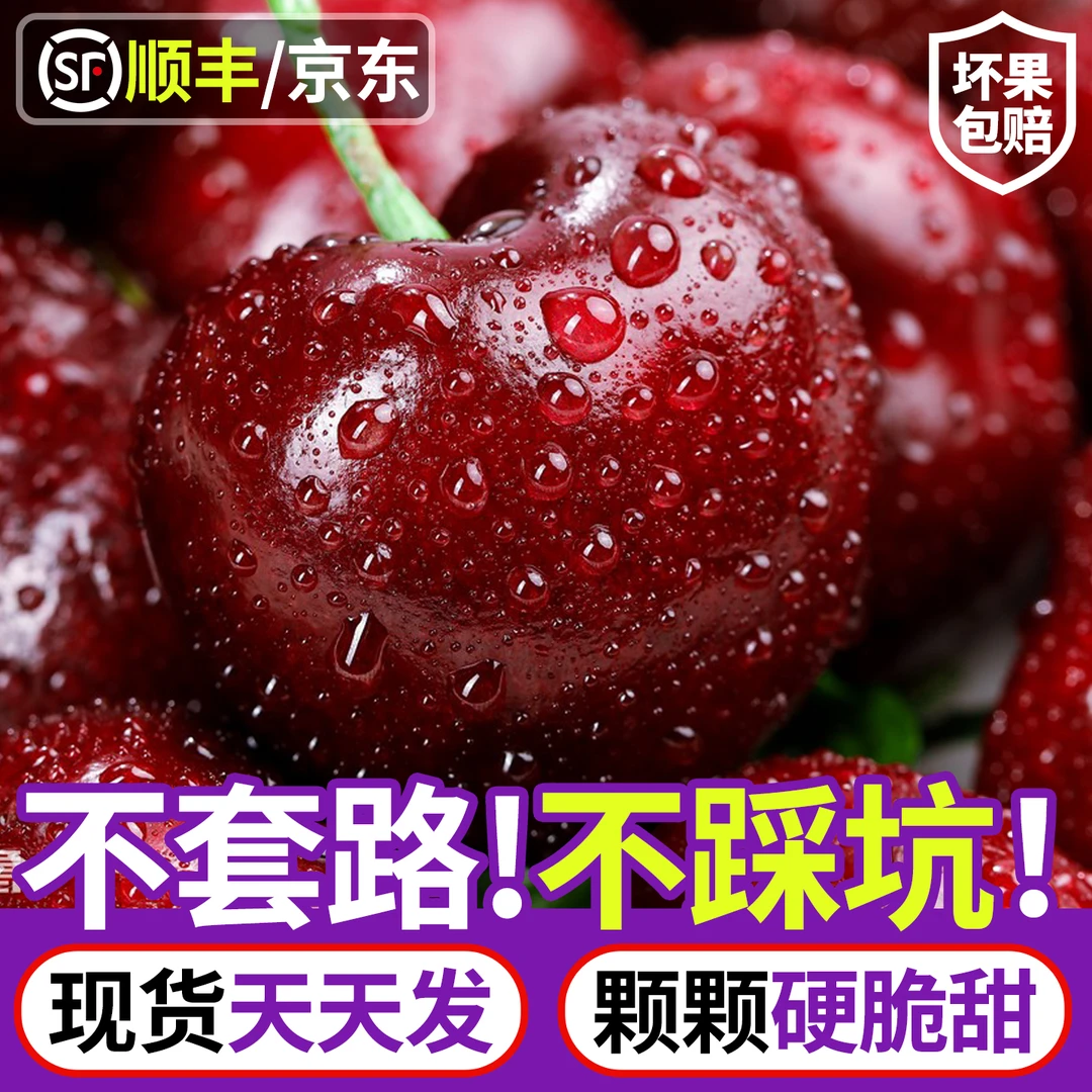 【空运车厘子】3JD全网低价智利进口桑提娜顺丰京东礼盒内附果径卡