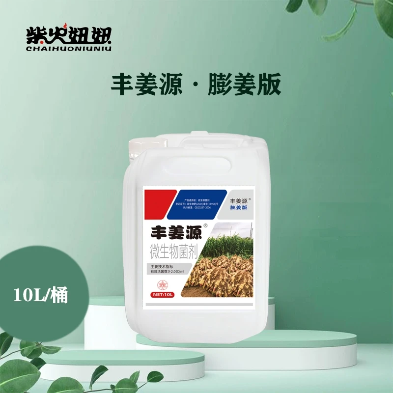 培土后丰姜源膨姜版圆头秋芽增干重