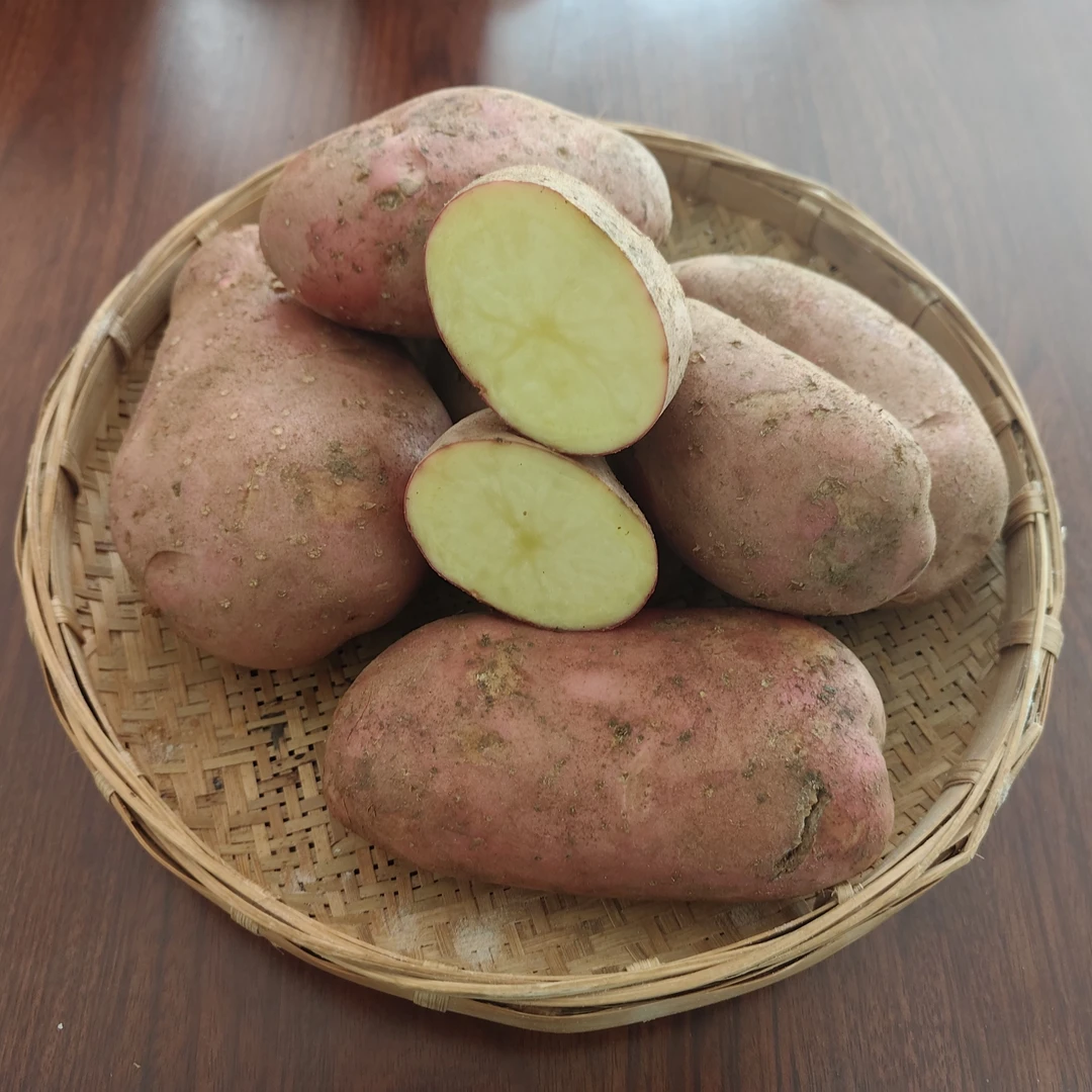 【农乡阁甄选】高山红皮黄心大洋芋 马铃薯 土豆