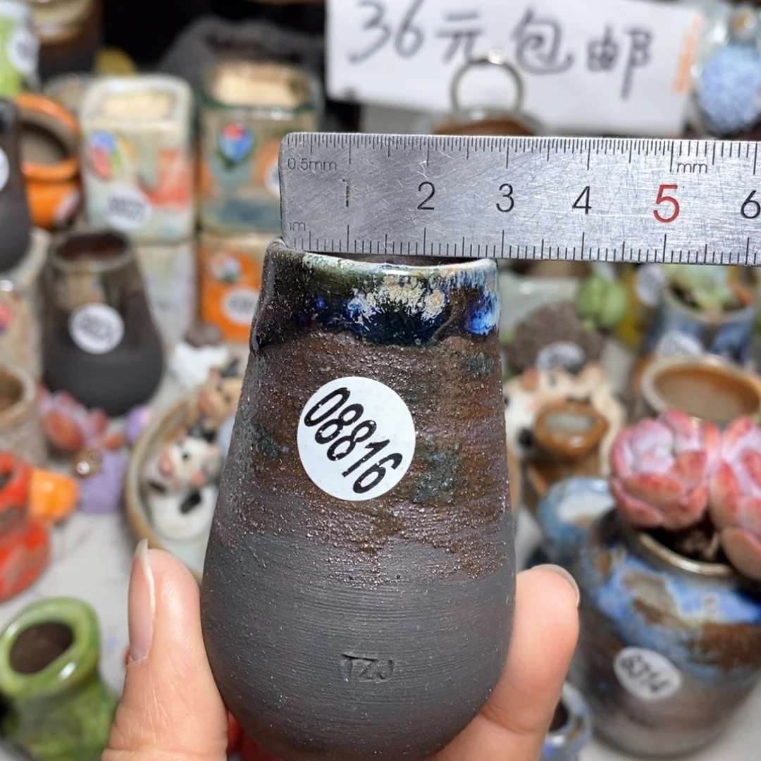 花盆拍5送一个小礼物