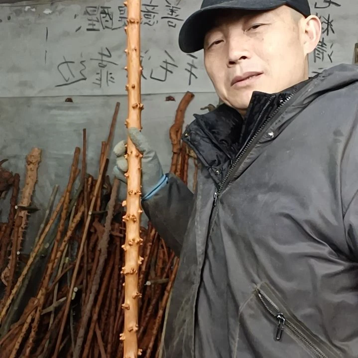 稳定木勇****?贵州檬子木   铁马鞭   根艺  半成品