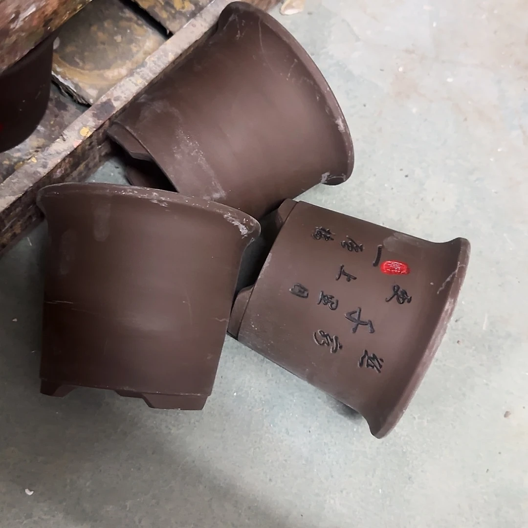 3个福利局绿植多肉盆［凑9元包邮24小时发］