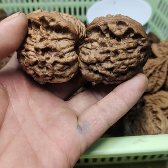 *****吊坠猴头核桃龙鼎