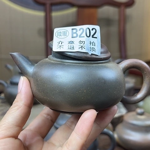 刀***雨戬谷龙窑柴烧茶壶202