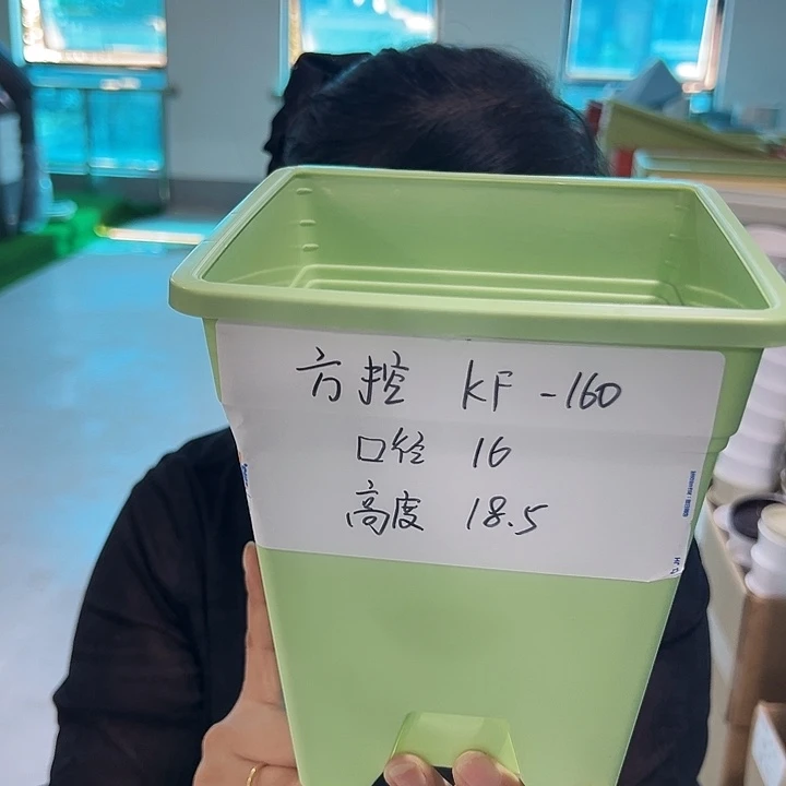 特价方盆口16高18果绿带托5只