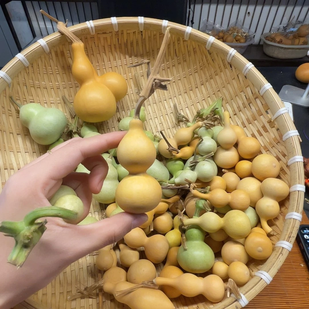 转***上葫芦娃兄弟姐妹葫芦兄弟