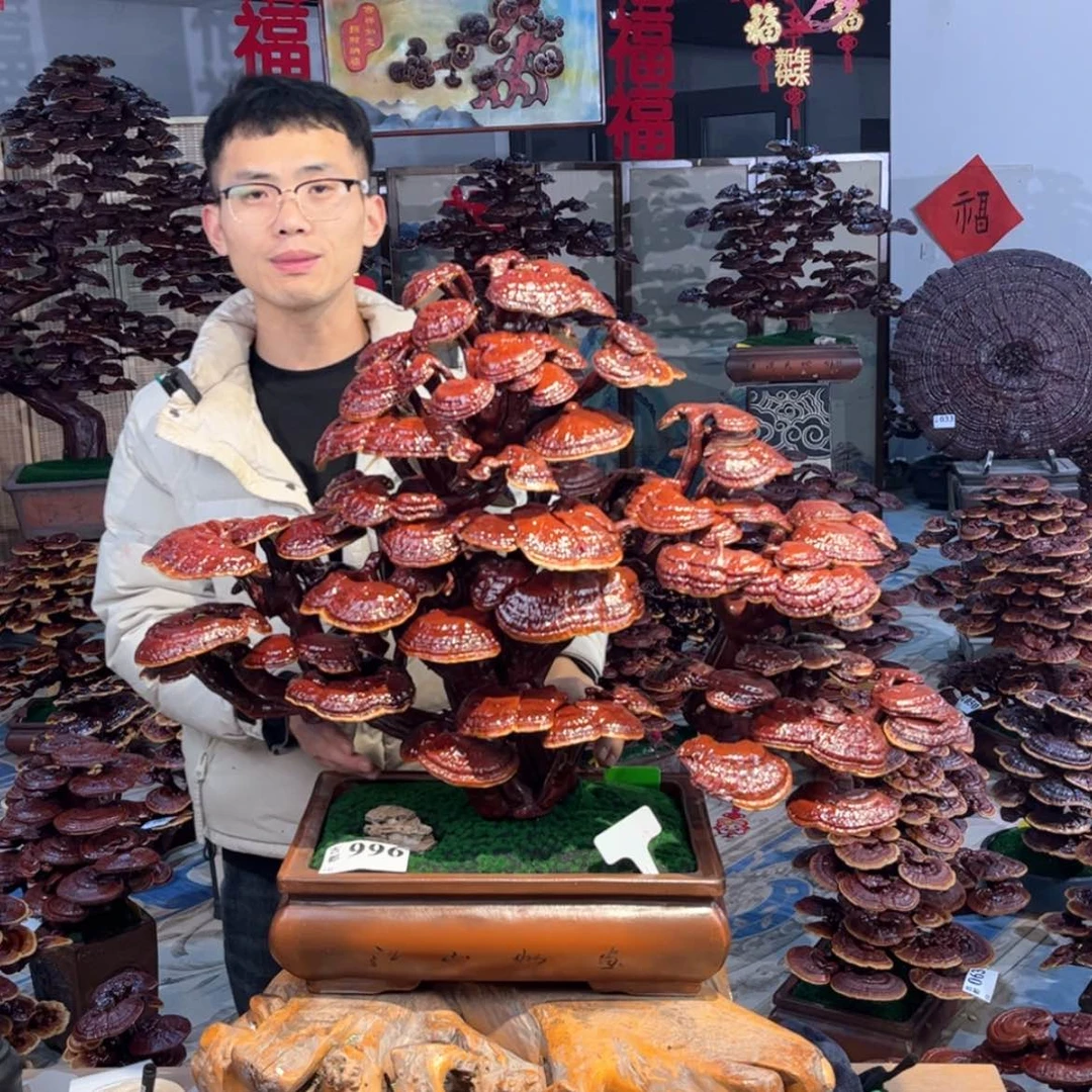 【闪购商品】88888