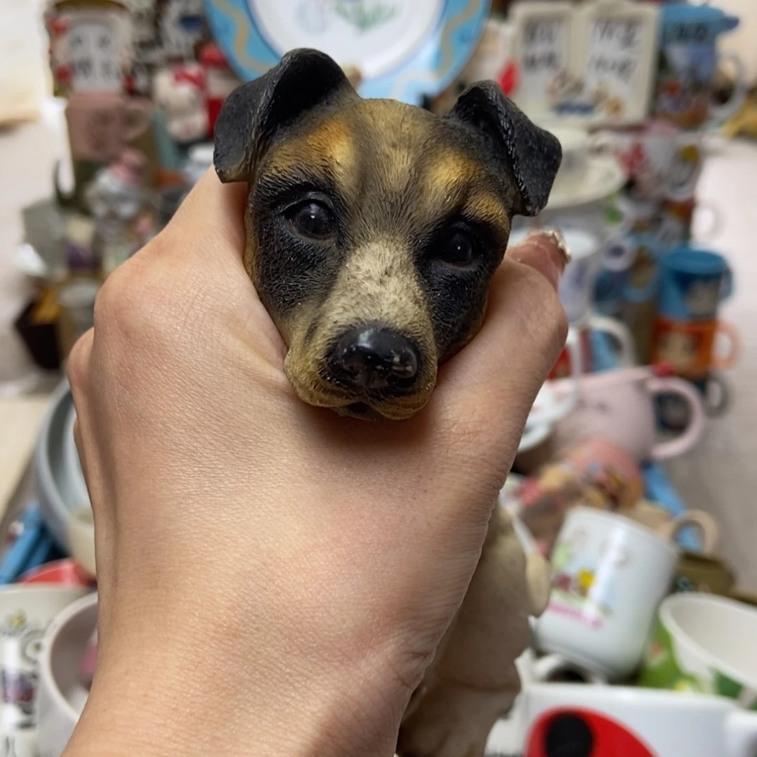 摆件✨**?陶瓷哈哈哈哈哈