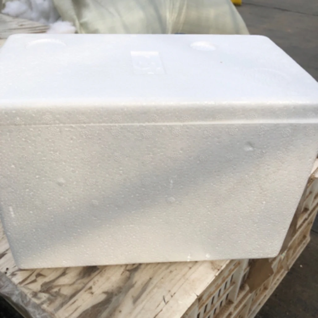 多肉保温箱 保温棉组合 套餐 不拍冻坏不售后