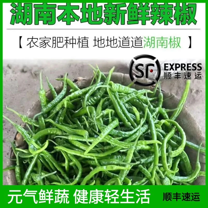 【顺丰包邮】湖南本地土辣椒软皮辣椒香辣农家肥健康特辣微辣小炒肉