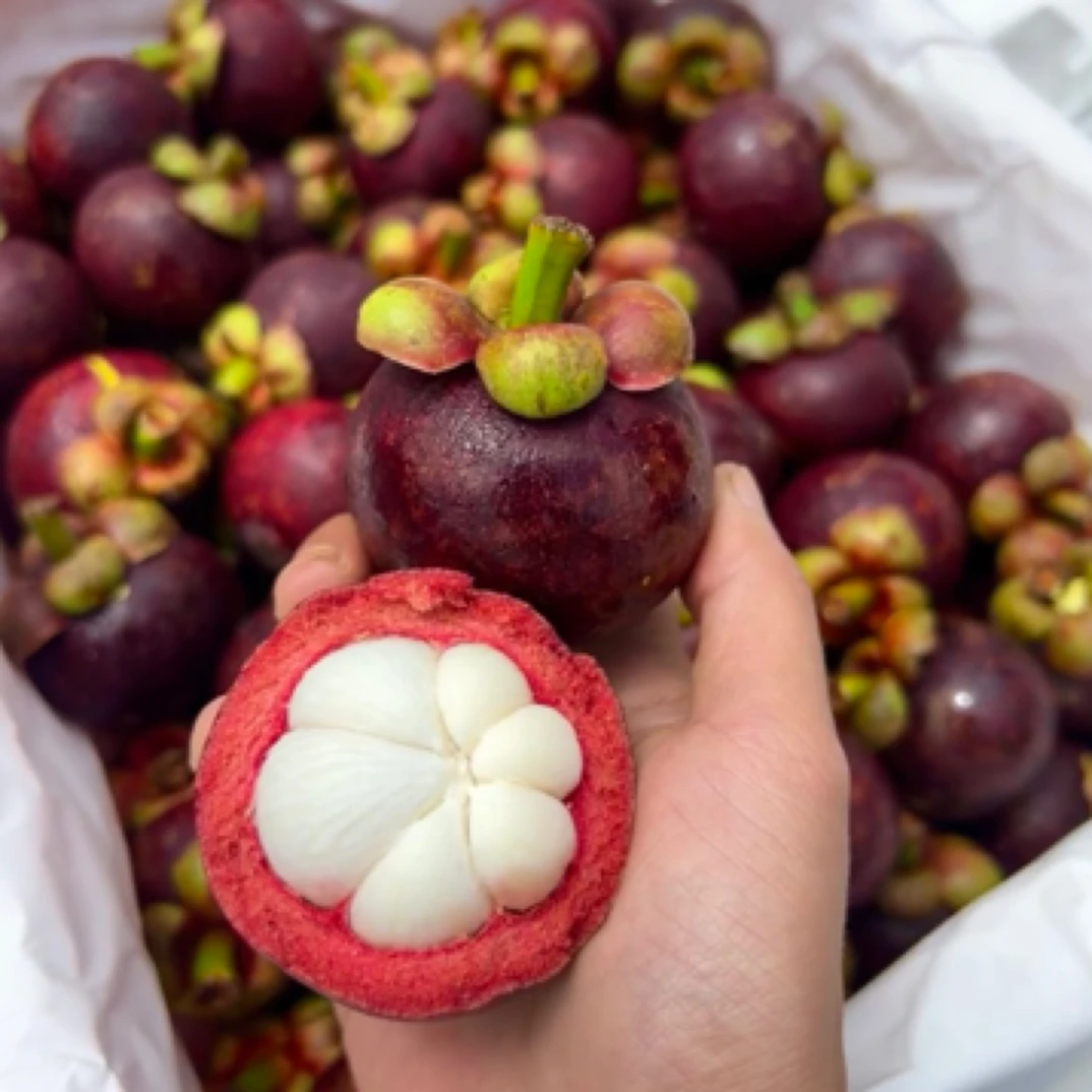 【配送到家】泰国空运山竹4斤