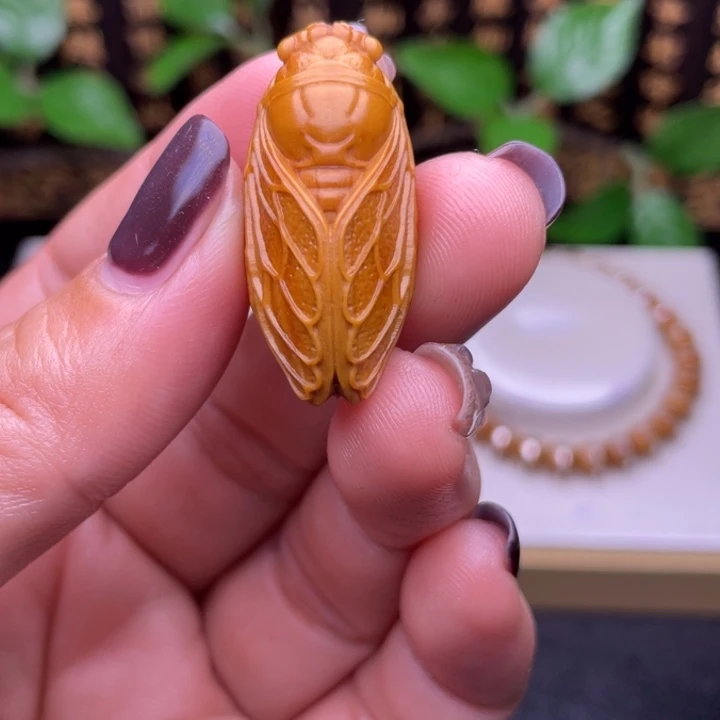 手串/手链橄榄核知了单粒