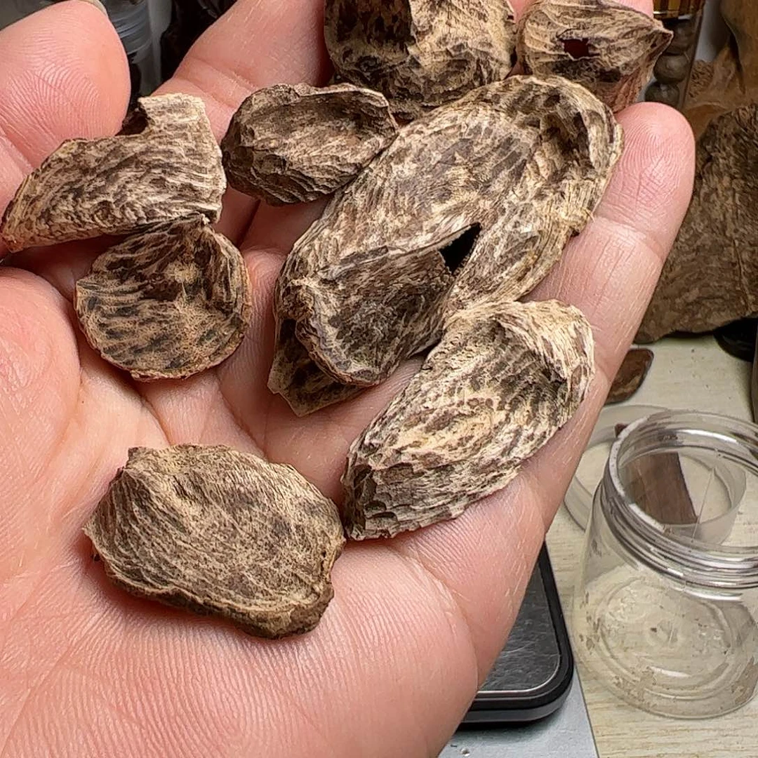 沉香沉香碎屑斯里兰卡沉水料7克