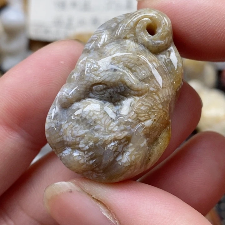 颈饰未镶嵌硅化珊瑚（珊瑚玉）小