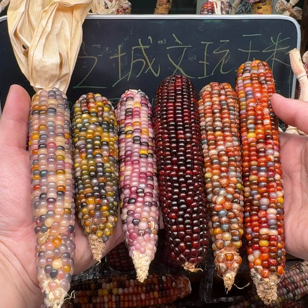 柏香籽/百香籽吊坠小*