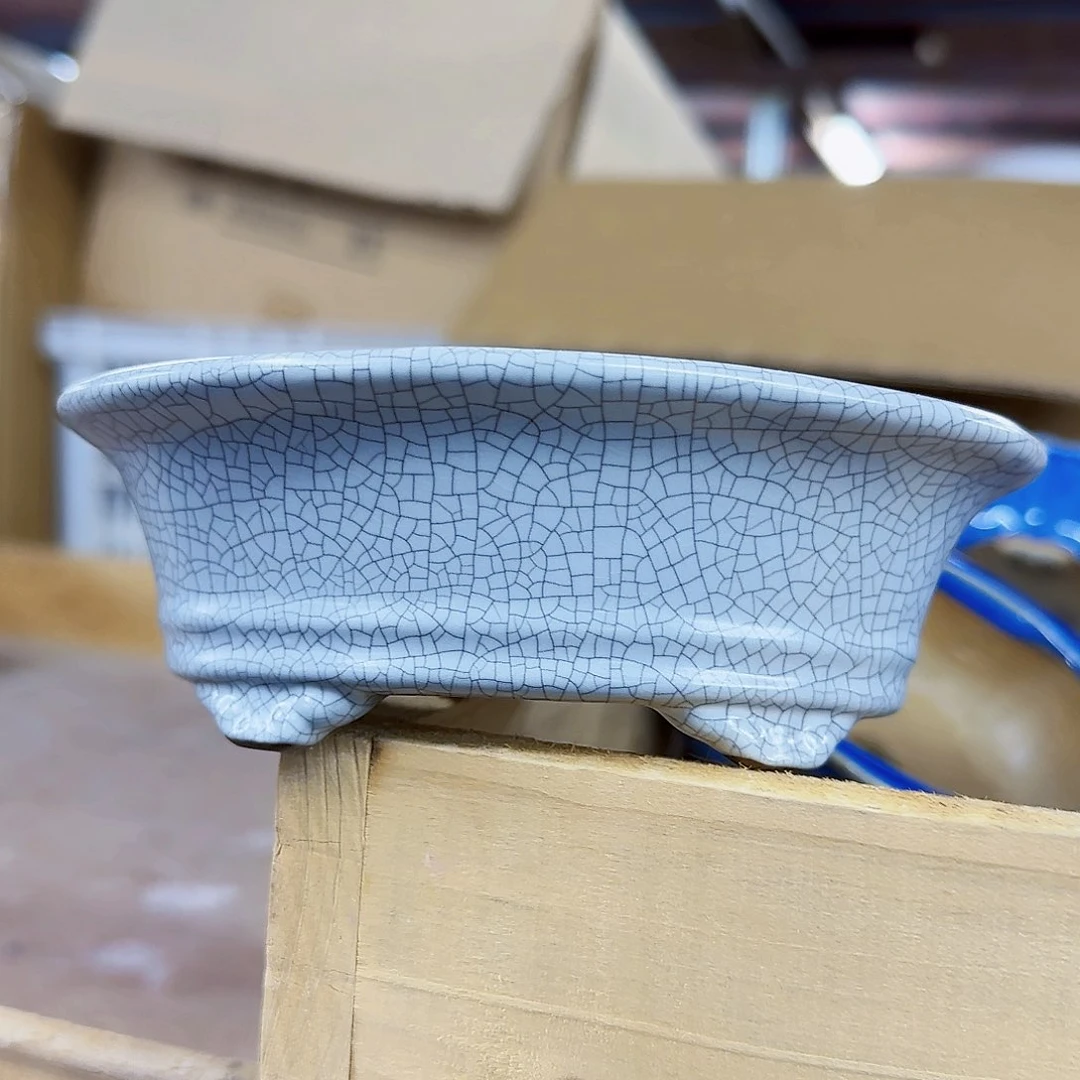 陶瓷花盆特价上新