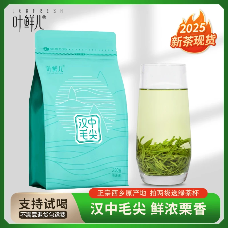 叶鲜儿2025新茶汉中毛尖250g春绿茶叶雨前浓香西乡原产地炒青仙毫