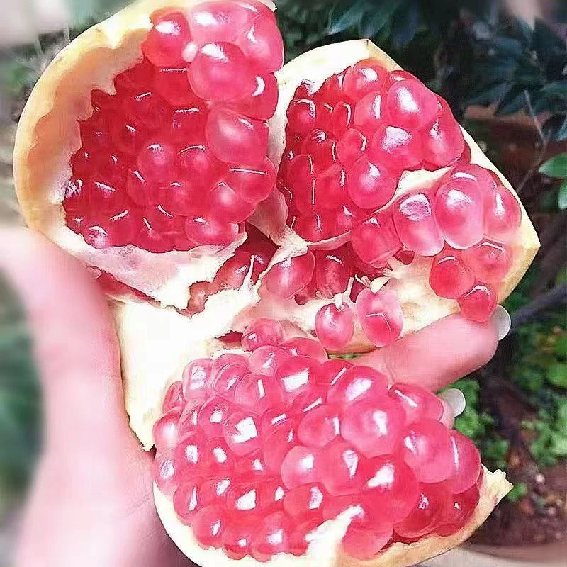 四川会理青皮软籽石榴新鲜当季水果红心甜石榴