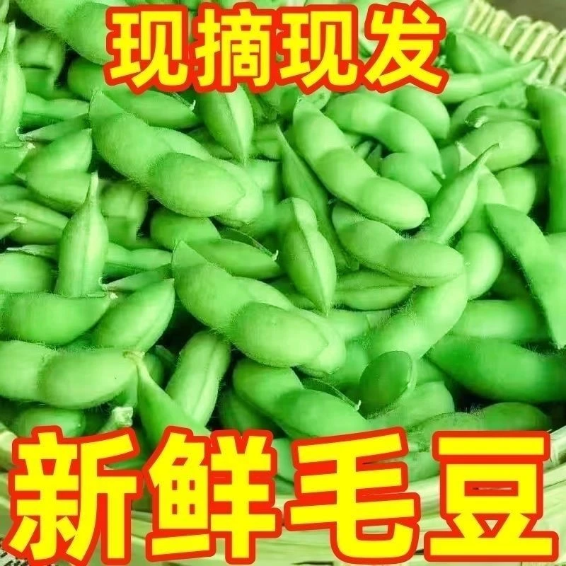 毛豆新鲜带壳青毛豆嫩豆荚黄豆大豆商用安徽本地农家自种时令蔬菜