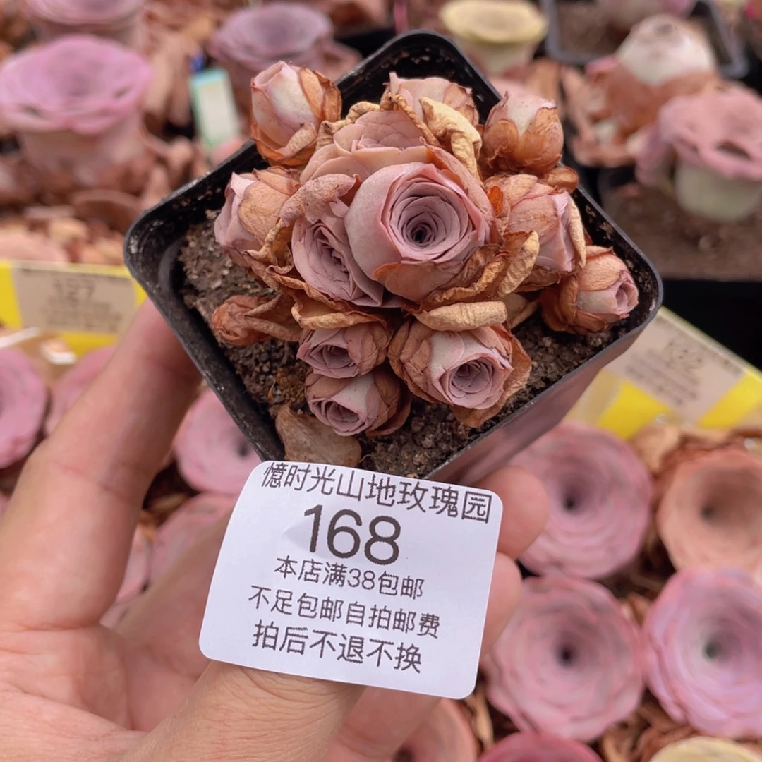 阿***黎不知名福利168一物一拍