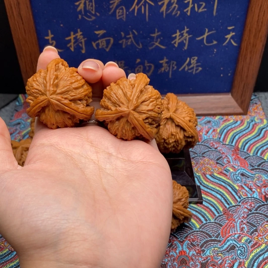 【闪购商品】稀**狗白狮