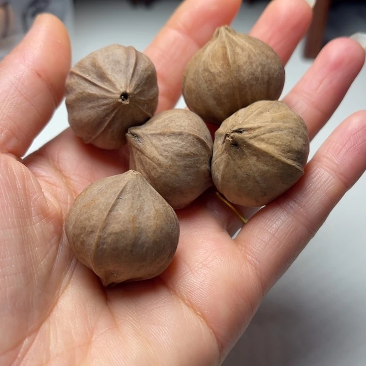 没***准橄榄核手串/手链2.8