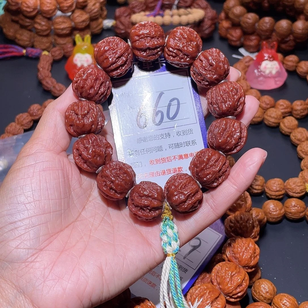 河***狮660秋子红皮粗筋矮桩京八棱22+