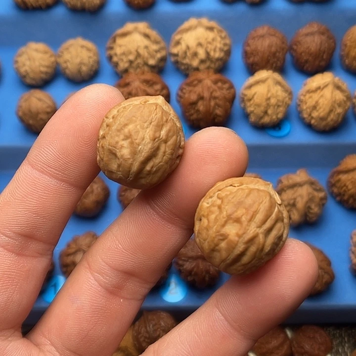 把件文玩核桃胖头陀小号