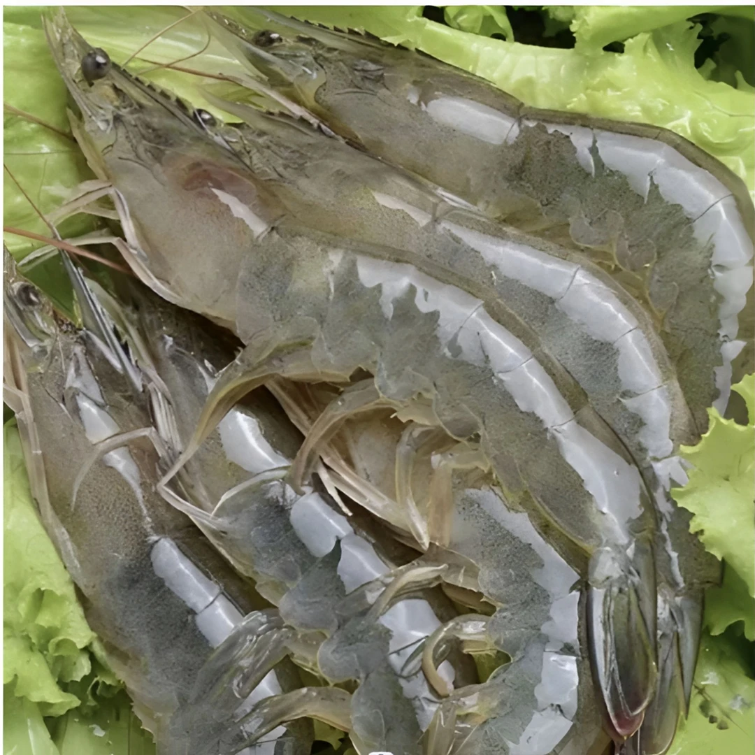 30/40海水虾  3斤