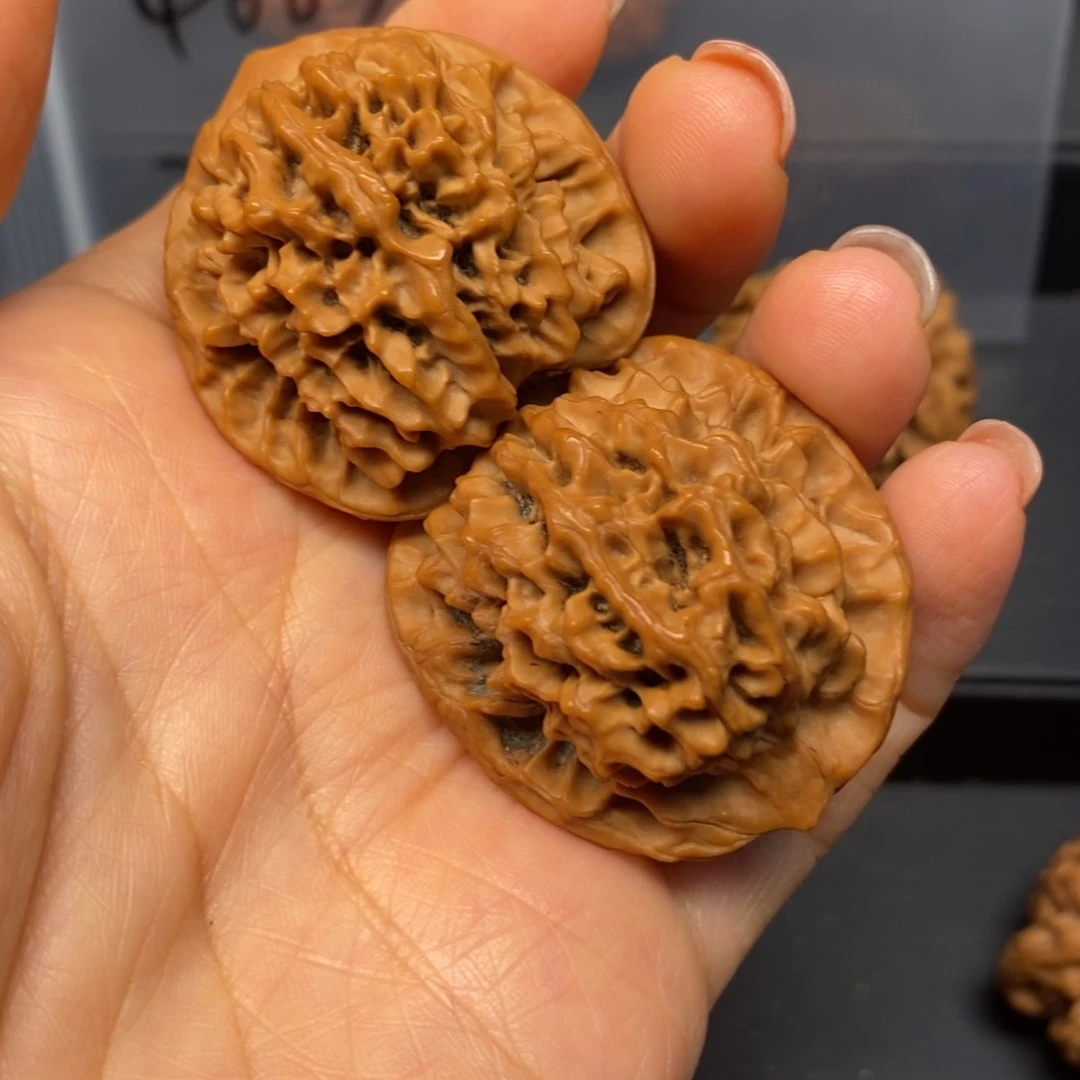 核桃手串/手链秦岭南北区有什么地方可查