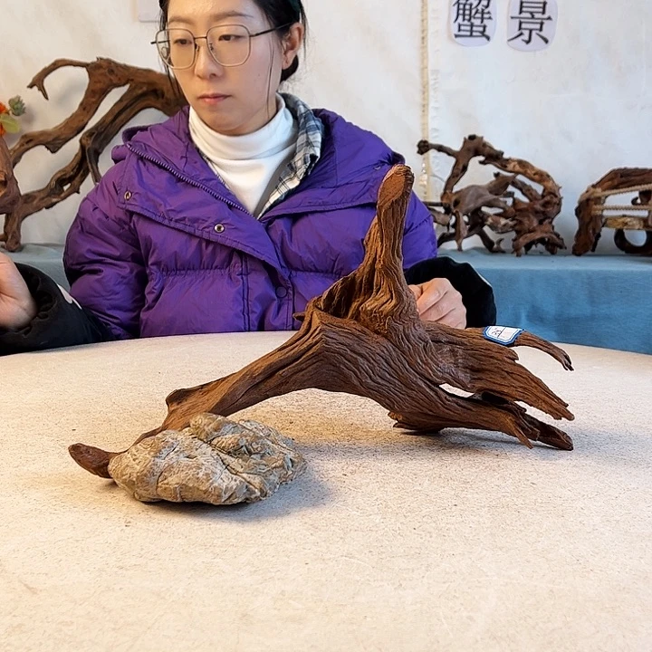 大*儿新年快乐沉木造景