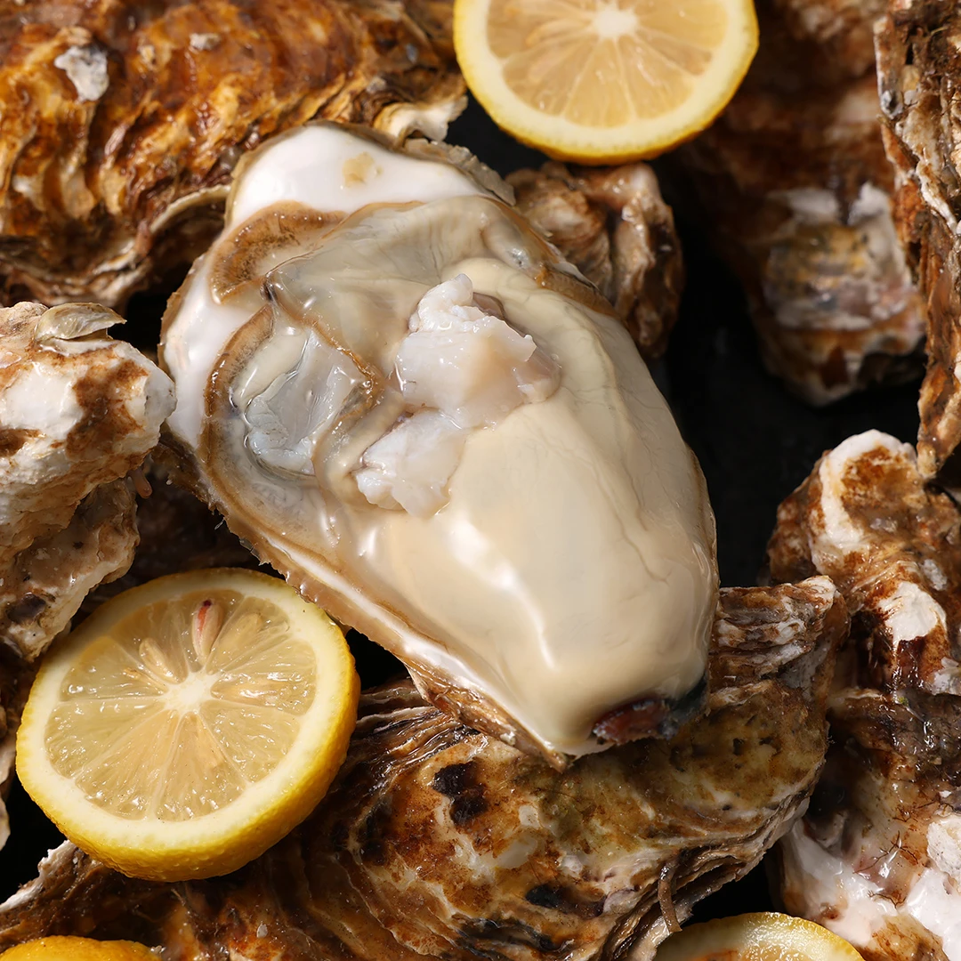 乳山大生蚝 买五斤送同规格4斤！