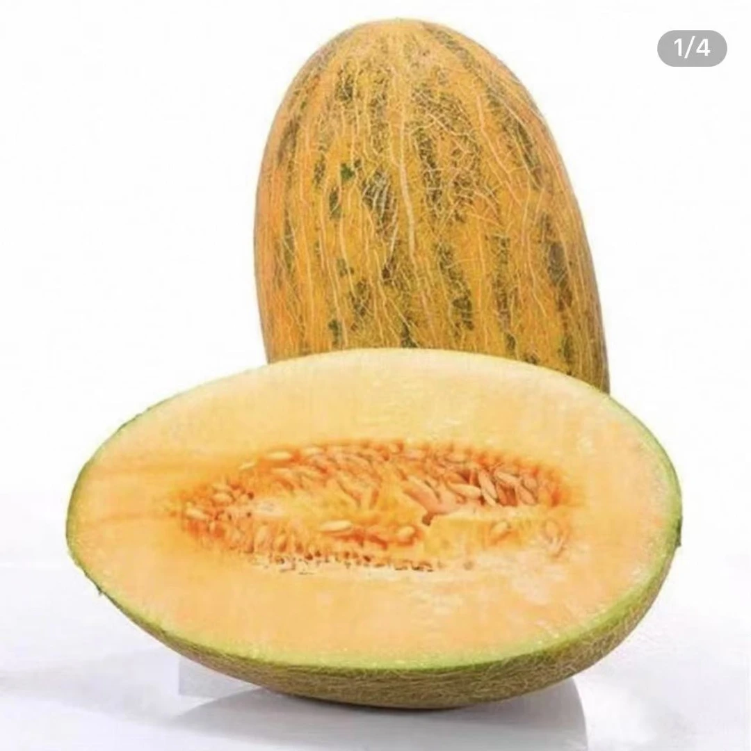 新疆顺丰直发正宗伽师瓜八六王新鲜应季水果哈密瓜又脆又甜