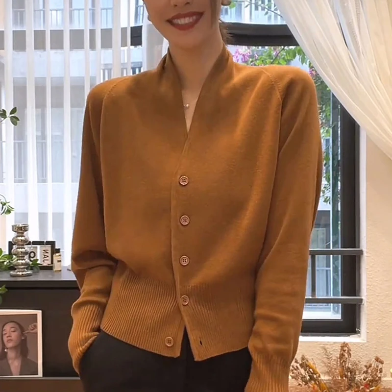 慵懒风v领毛衣女士2025秋季高级感洋气收腰显瘦针织开衫长袖上衣