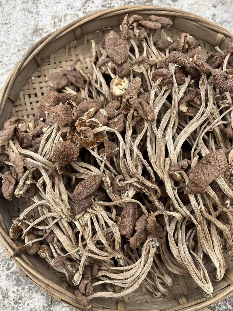 小蒲推荐  云南下山货 茶树菇