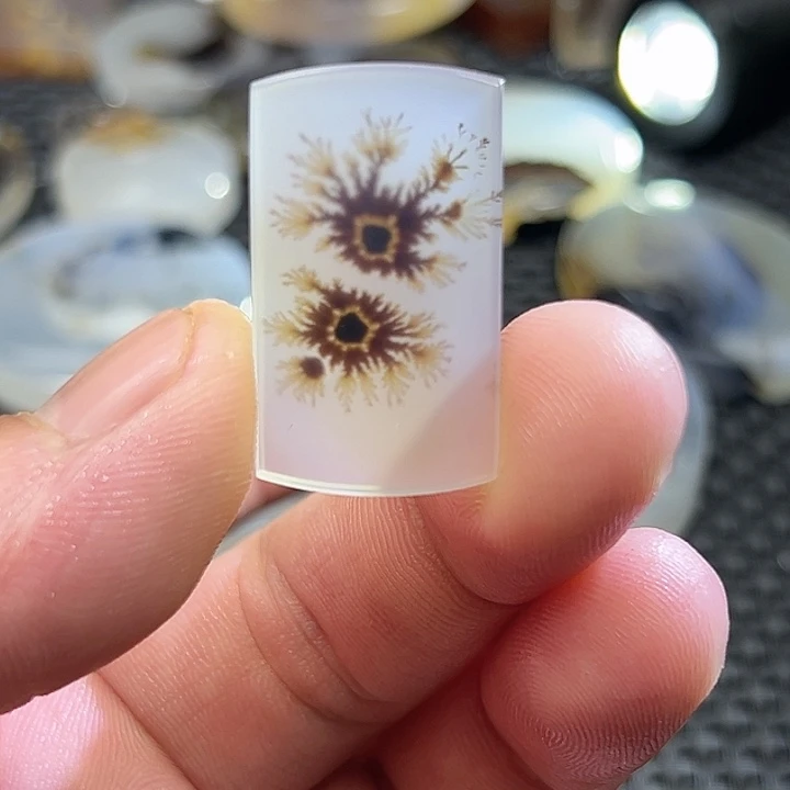 鸺***鱼玛瑙/玉髓未镶嵌珠宝半成品