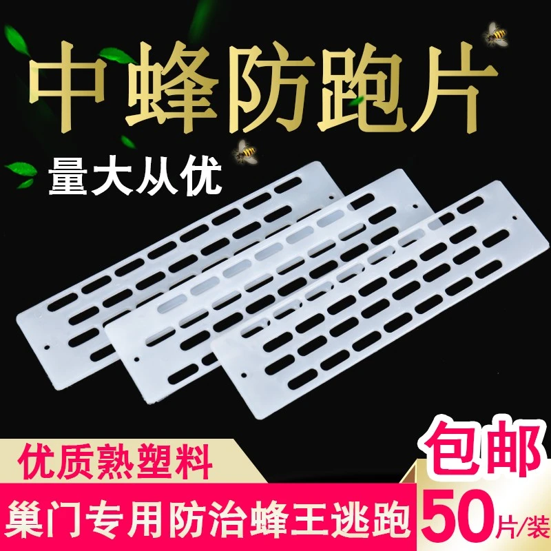 多功能中蜂蜂王防逃片中蜂专用蜜蜂养蜂用具蜂箱巢门专用养蜂工具