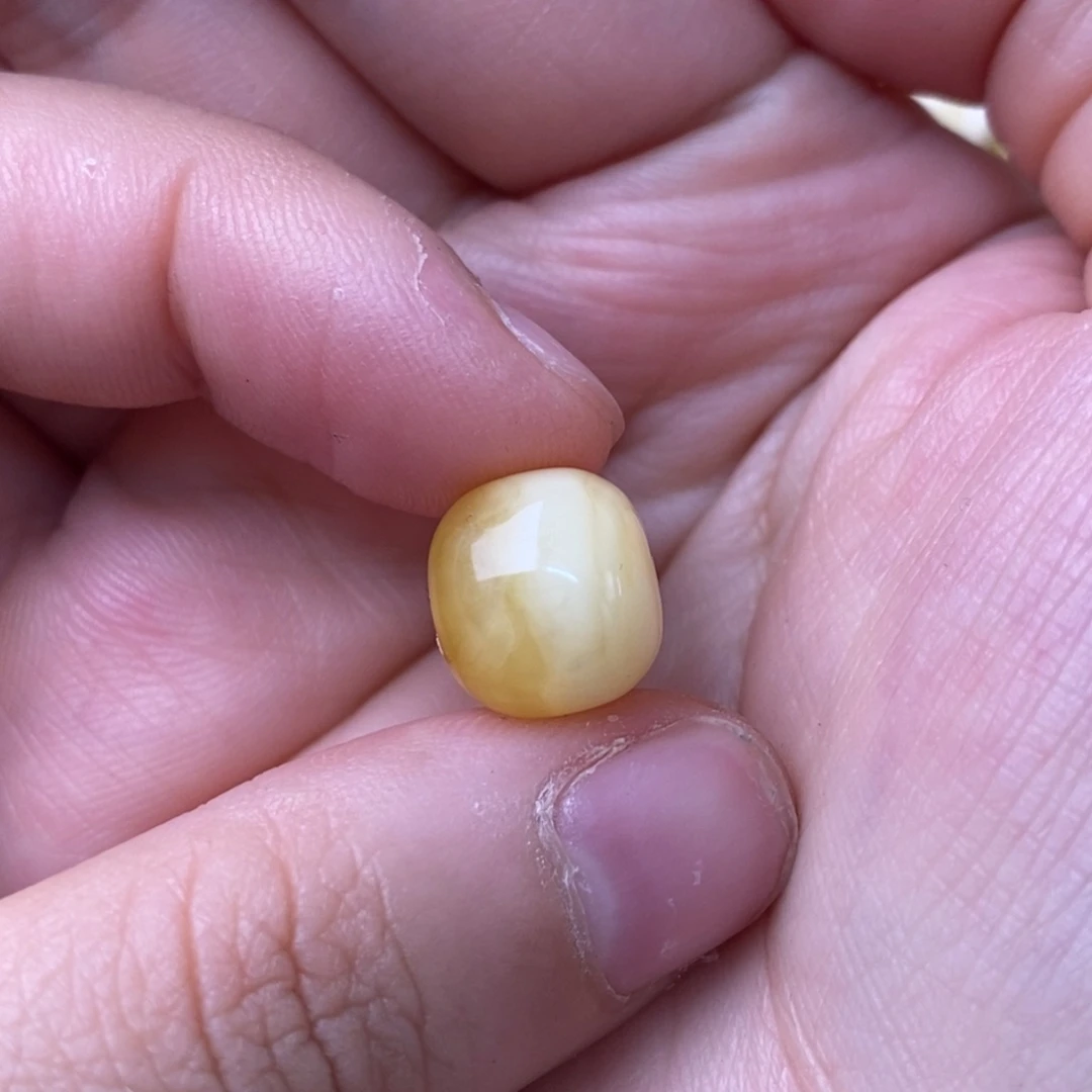 裸石琥珀未镶嵌鹏*燕蜜蜡