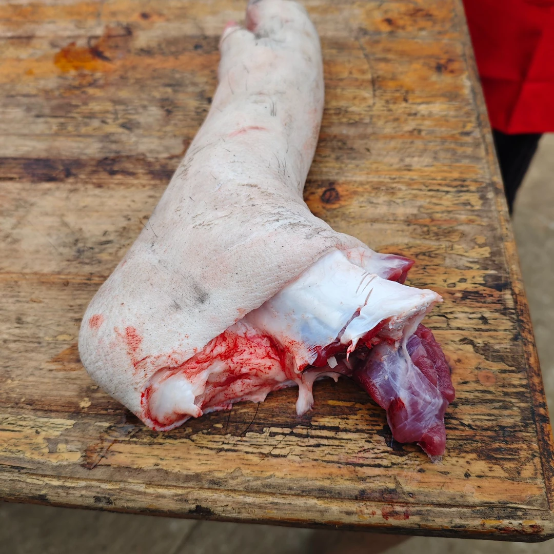 黑毛猪前猪蹄正宗农家粮食喂养黑毛土猪现杀现卖