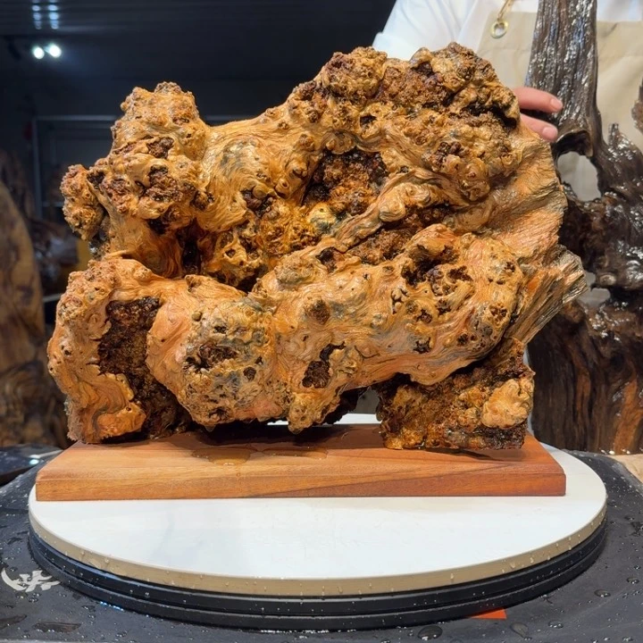 木和**赢王一刀琥珀木25