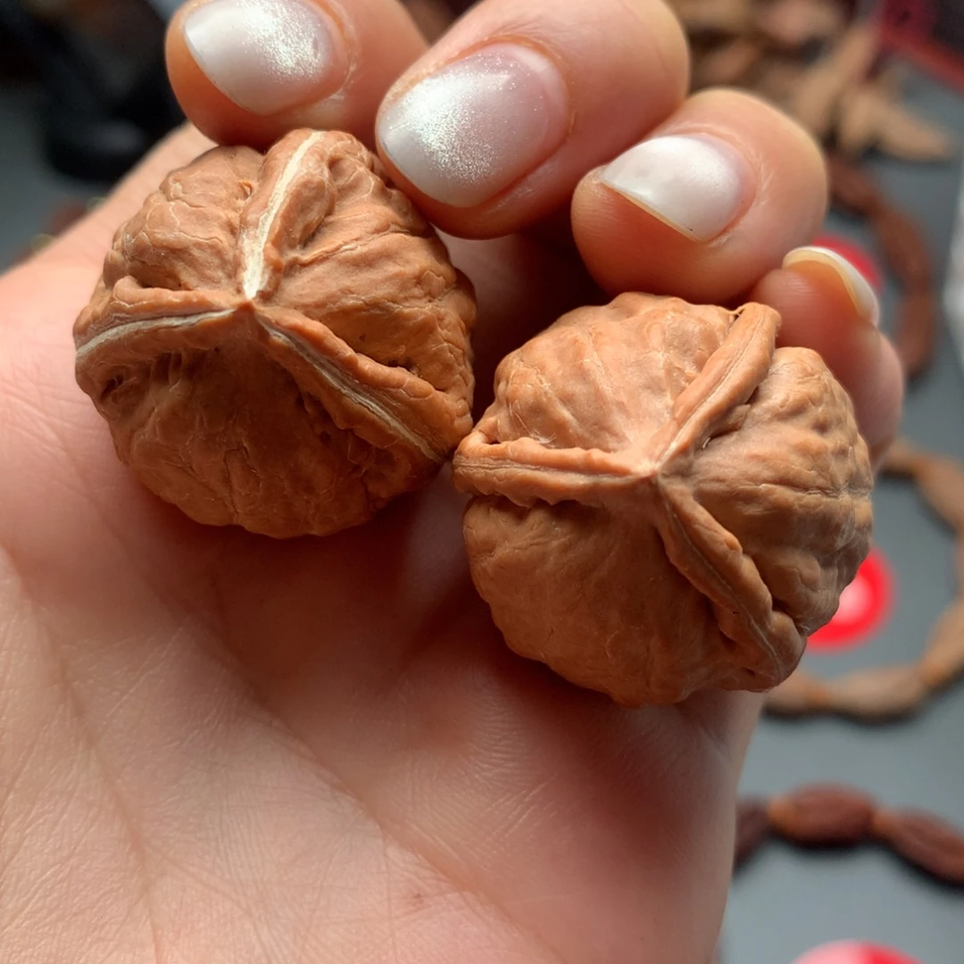 核桃42东北三棱异型