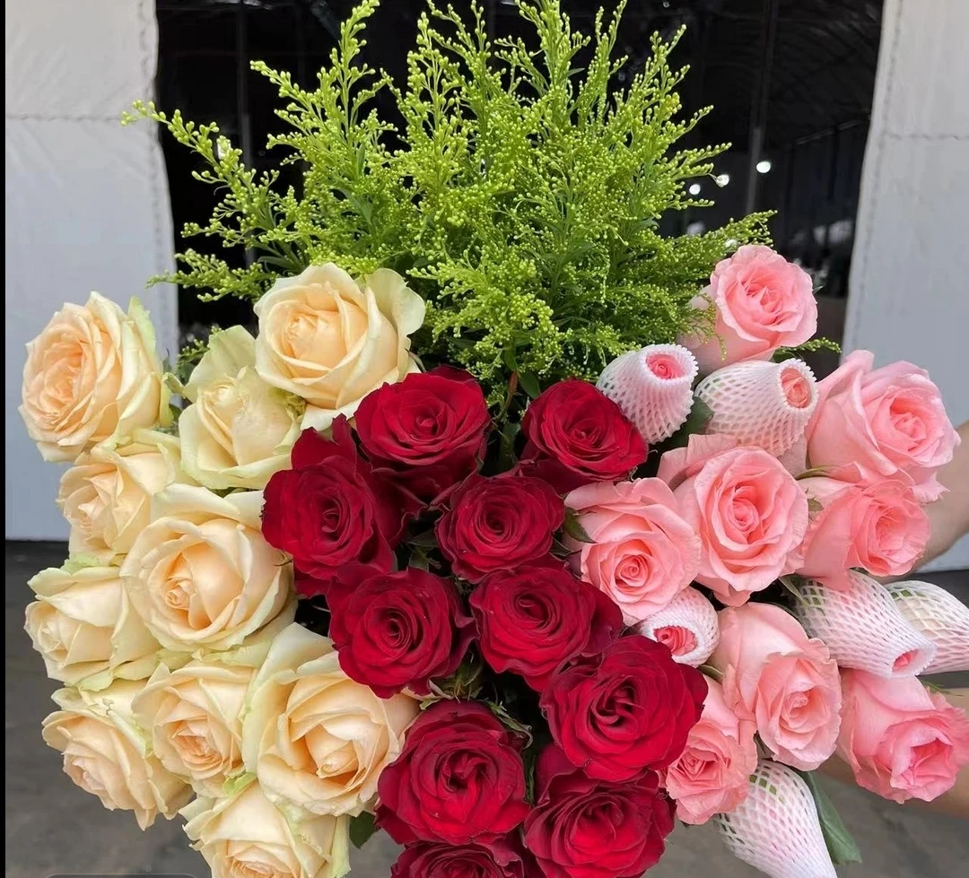 春城源头【红玫瑰5枝+香槟玫瑰5枝+ 粉玫瑰5枝】云南昆明原产地直发