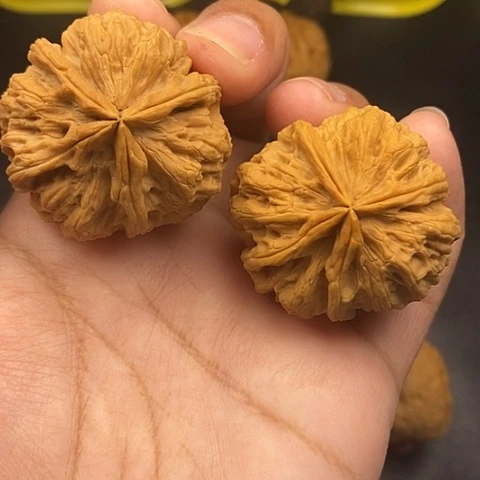 文玩核桃把件39尺云南核桃