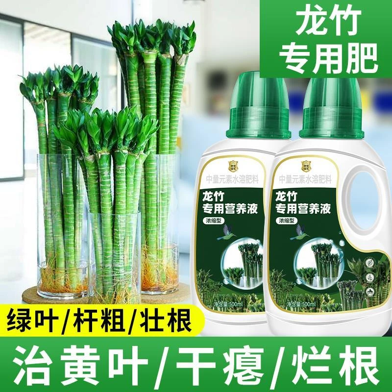 龙竹营养液文昌竹专用肥治叶子发黄水培植物生根水溶液体肥富贵竹