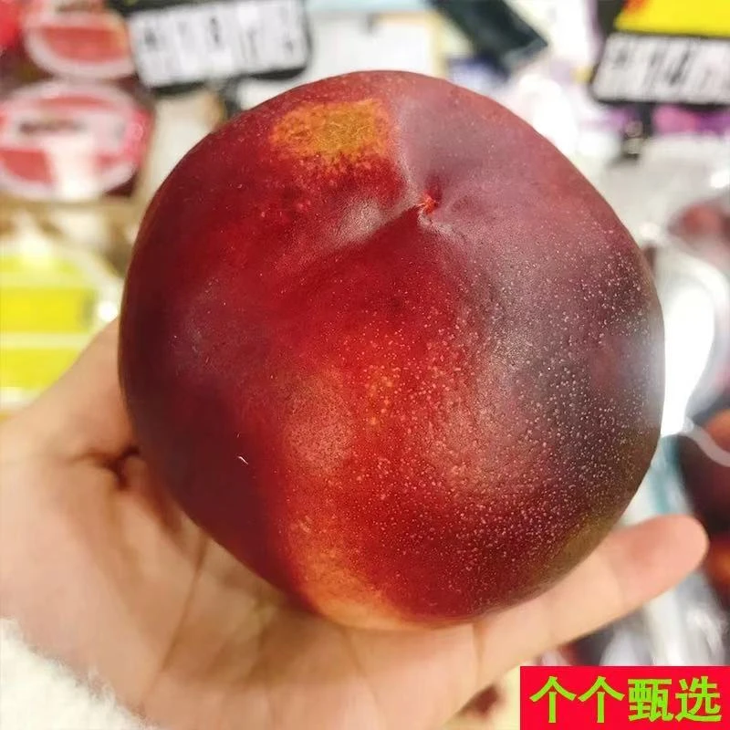 智利油桃 嘎嘣脆甜