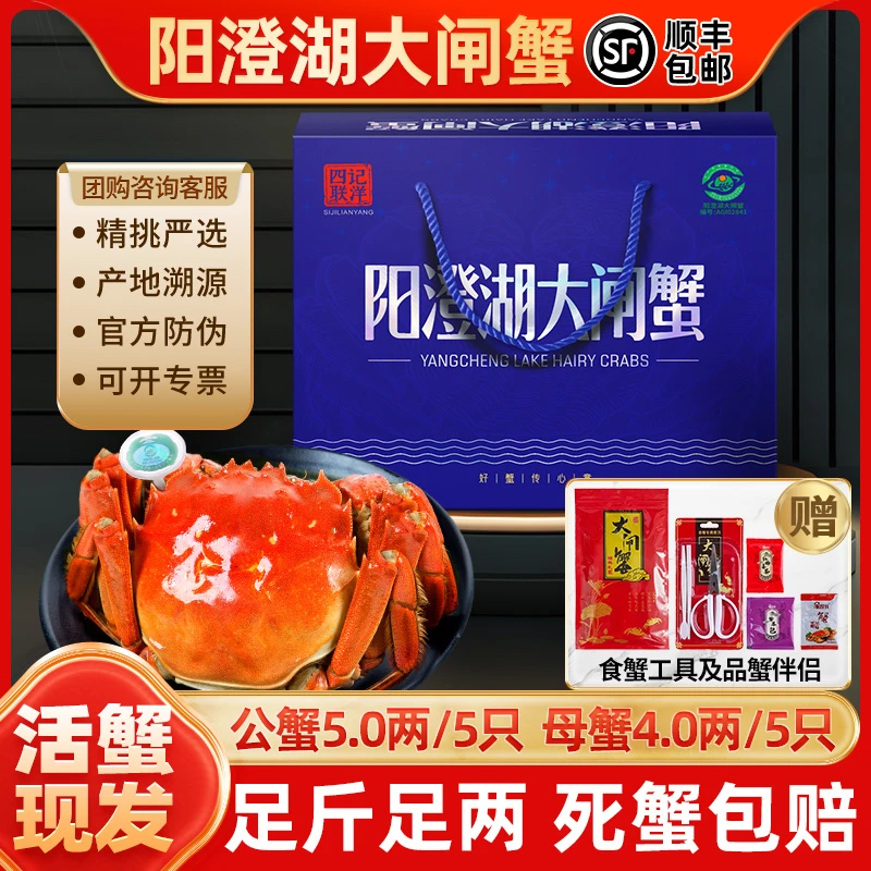 【活蟹】四记联洋阳澄湖大闸蟹公5.0两母4.0两5对10只金标螃蟹塘养