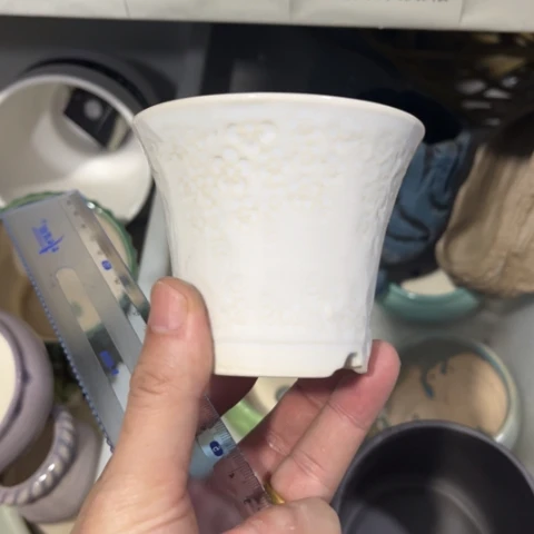 ［所有订单凑满15明天发］8×7