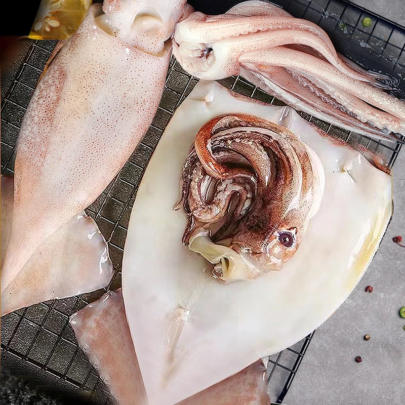 【海赋】鱿鱼新鲜海捕免处理整只大鱿鱼烧烤铁板烧