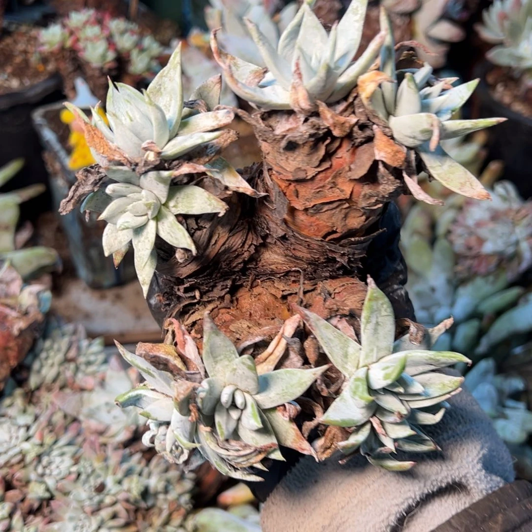 226哈哈哈哈哈哈哈哈